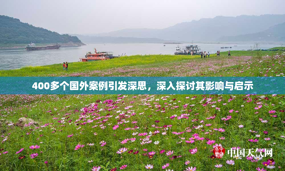 400多个国外案例引发深思，深入探讨其影响与启示
