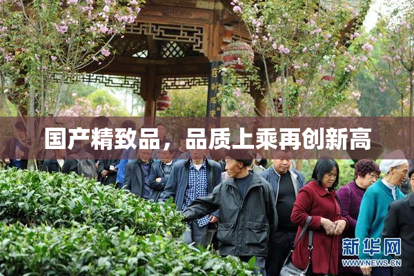 国产精致品，品质上乘再创新高