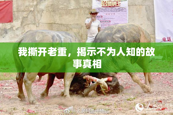 我撕开老重，揭示不为人知的故事真相
