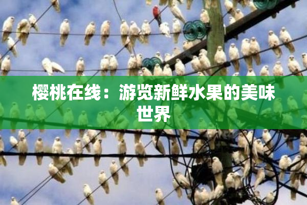樱桃在线：游览新鲜水果的美味世界