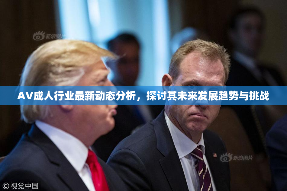 AV成人行业最新动态分析，探讨其未来发展趋势与挑战