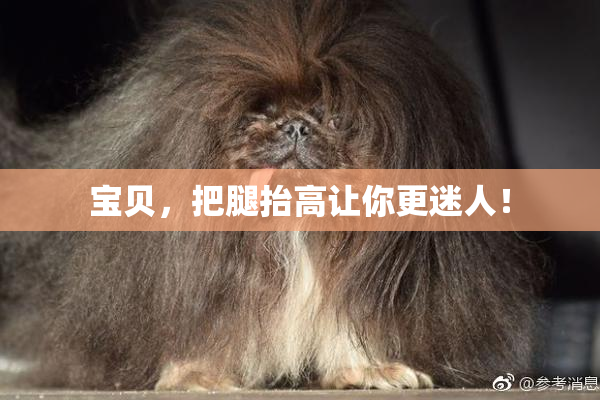 宝贝，把腿抬高让你更迷人！