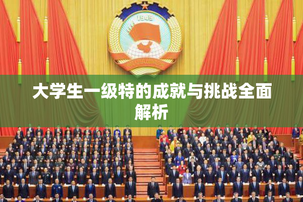大学生一级特的成就与挑战全面解析