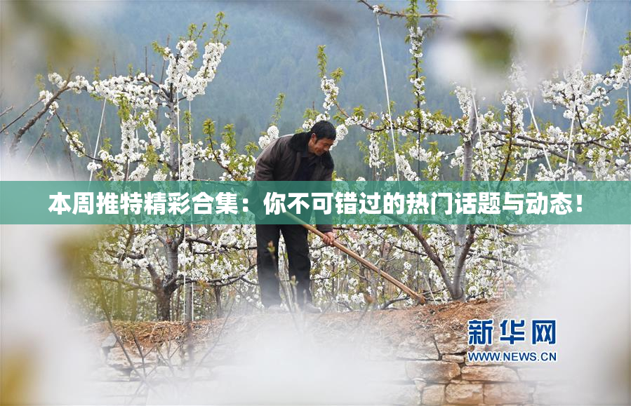 本周推特精彩合集：你不可错过的热门话题与动态！