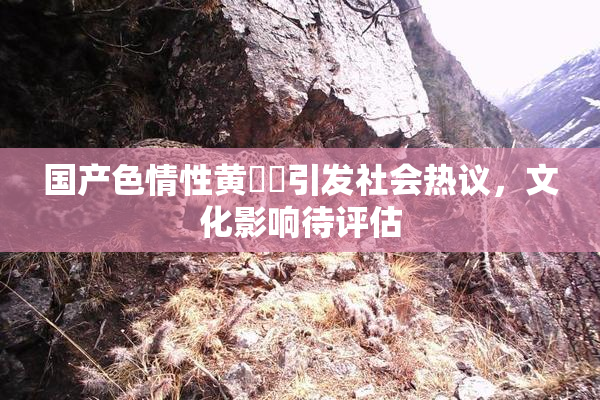 国产色情性黄❌‌引发社会热议，文化影响待评估