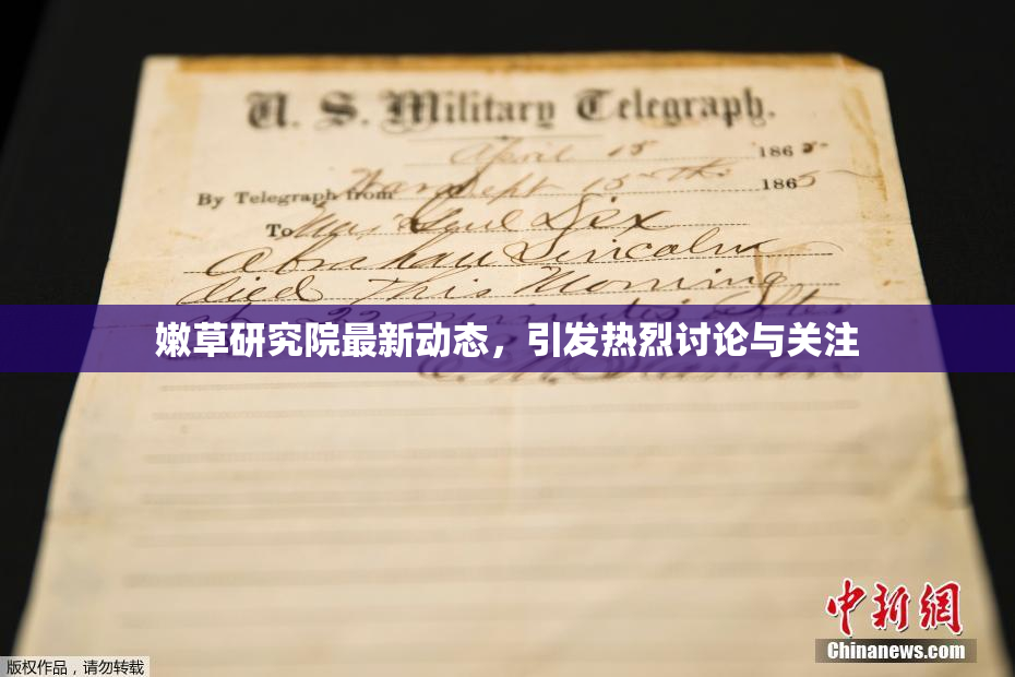 嫩草研究院最新动态，引发热烈讨论与关注