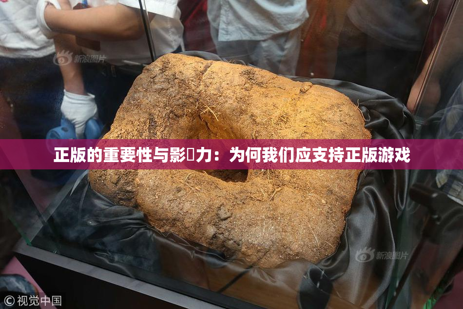 正版的重要性与影響力：为何我们应支持正版游戏