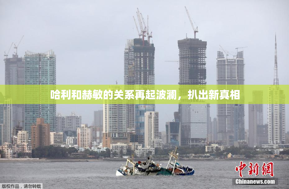 哈利和赫敏的关系再起波澜，扒出新真相