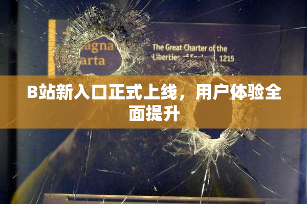 B站新入口正式上线，用户体验全面提升