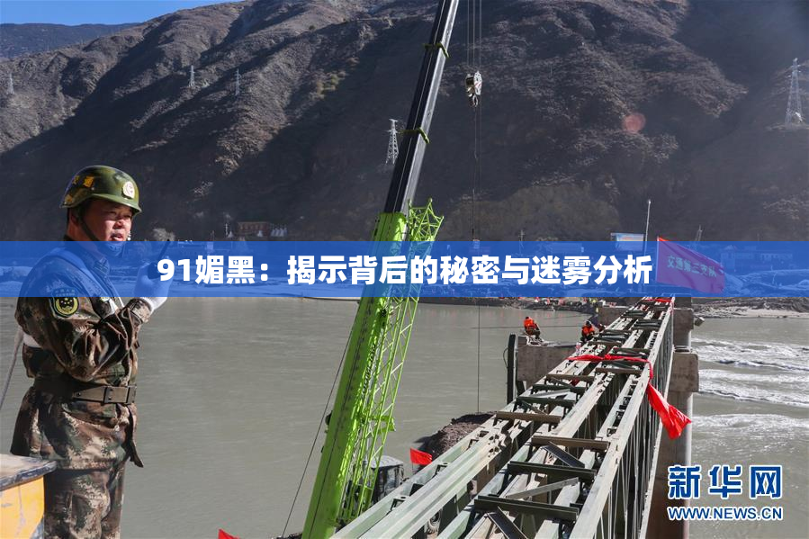 91媚黑：揭示背后的秘密与迷雾分析