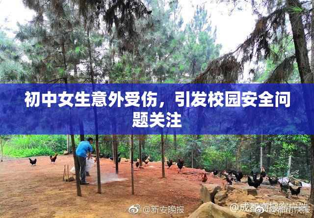 初中女生意外受伤，引发校园安全问题关注
