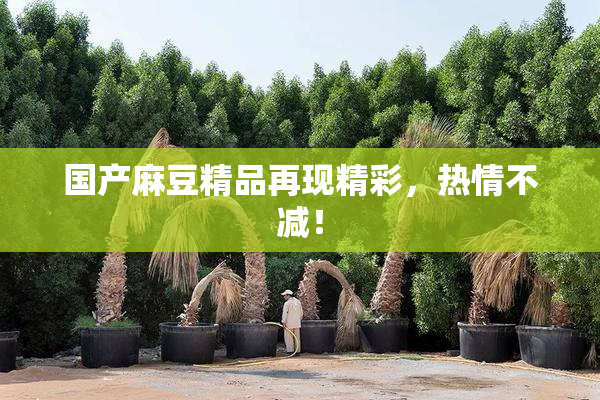 国产麻豆精品再现精彩，热情不减！