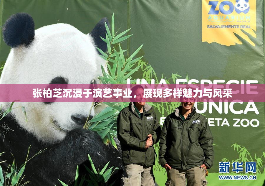 张柏芝沉浸于演艺事业，展现多样魅力与风采