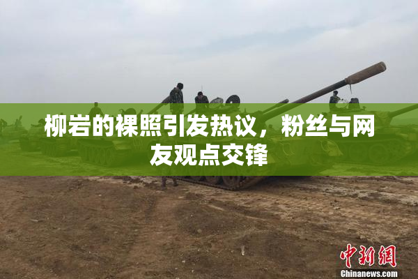 柳岩的裸照引发热议，粉丝与网友观点交锋