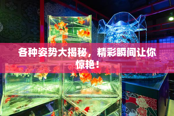 各种姿势大揭秘，精彩瞬间让你惊艳！