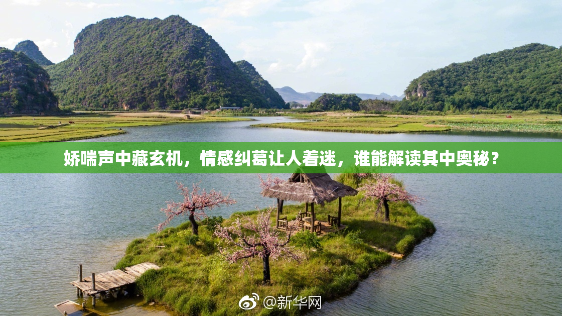 娇喘声中藏玄机，情感纠葛让人着迷，谁能解读其中奥秘？