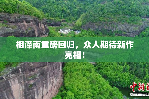 相泽南重磅回归，众人期待新作亮相！