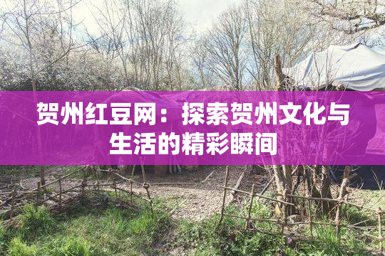 贺州红豆网：探索贺州文化与生活的精彩瞬间