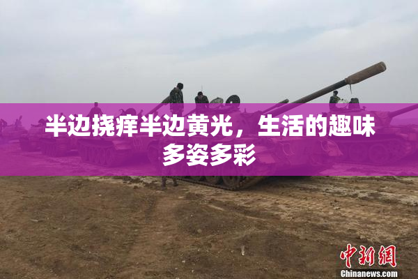 半边挠痒半边黄光，生活的趣味多姿多彩