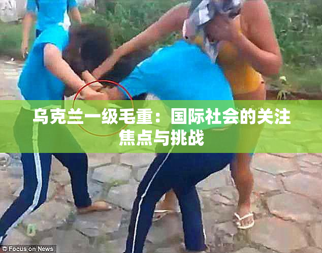 乌克兰一级毛重：国际社会的关注焦点与挑战