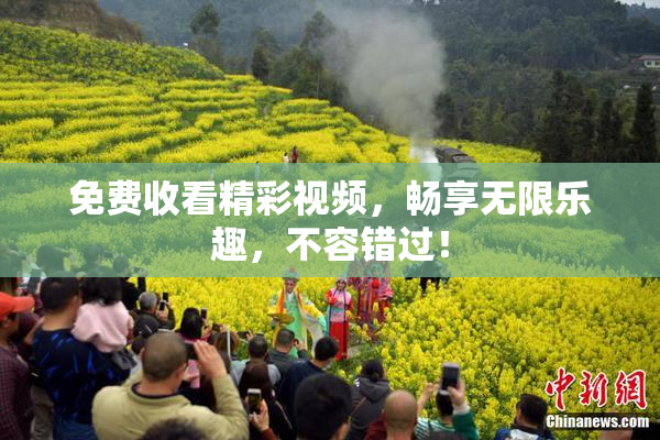免费收看精彩视频，畅享无限乐趣，不容错过！