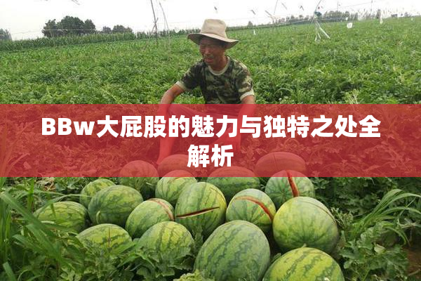 BBw大屁股的魅力与独特之处全解析