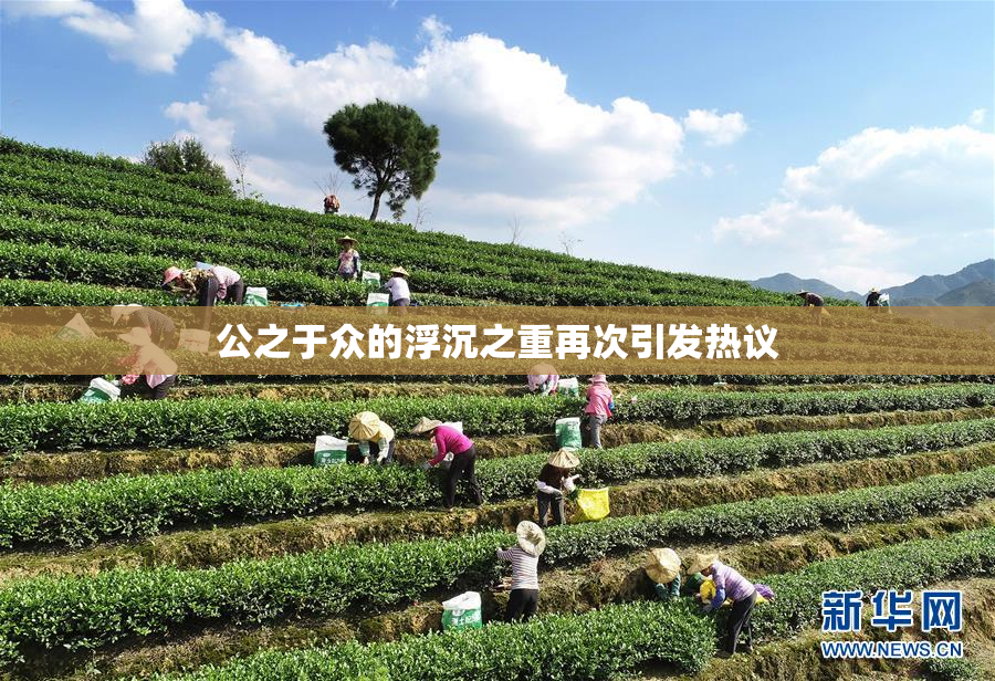 公之于众的浮沉之重再次引发热议