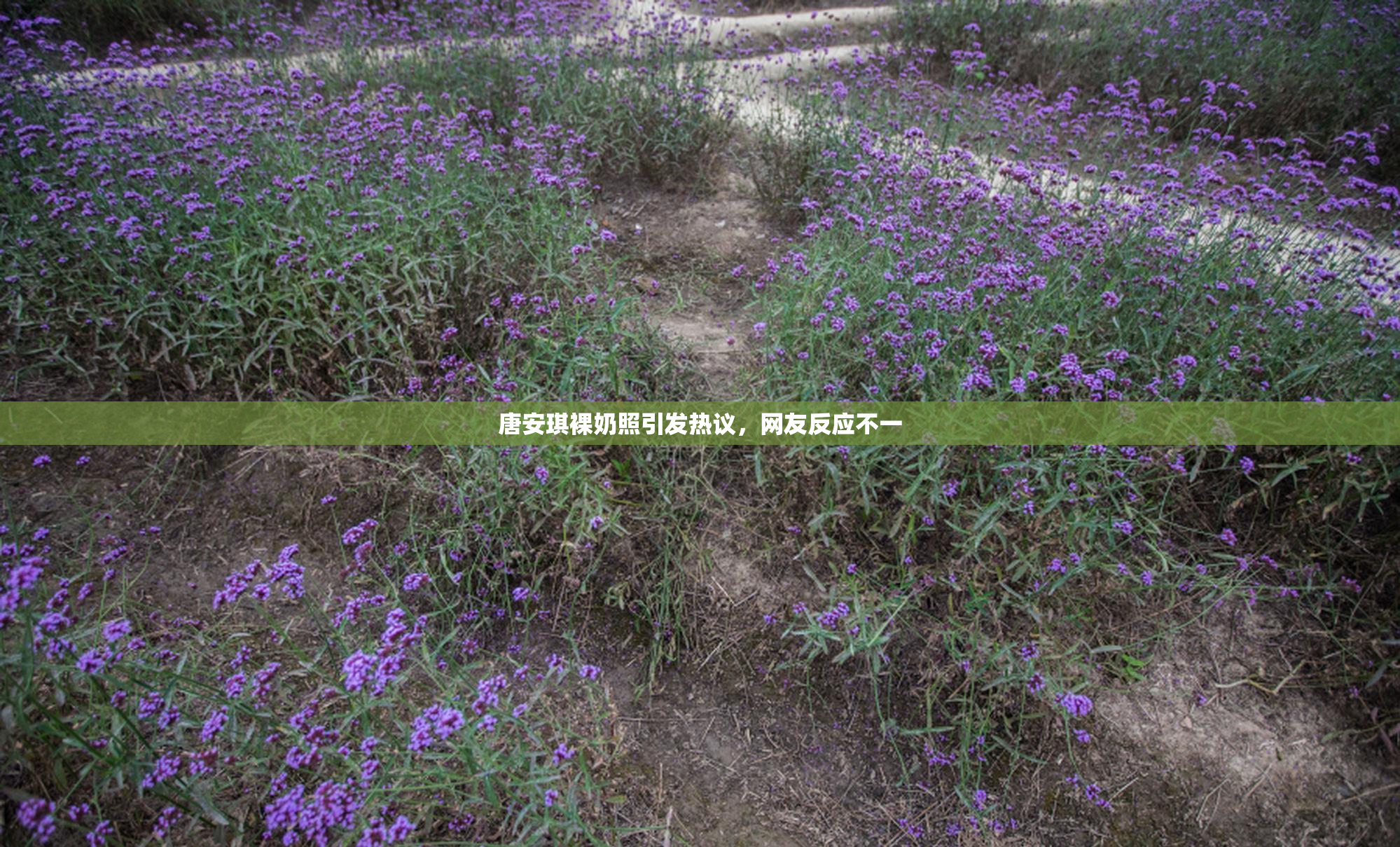 唐安琪裸奶照引发热议，网友反应不一