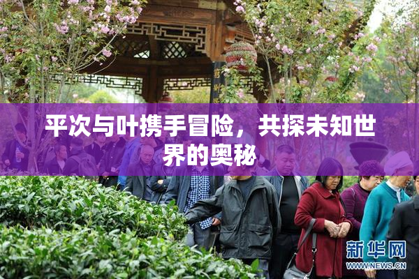 平次与叶携手冒险，共探未知世界的奥秘