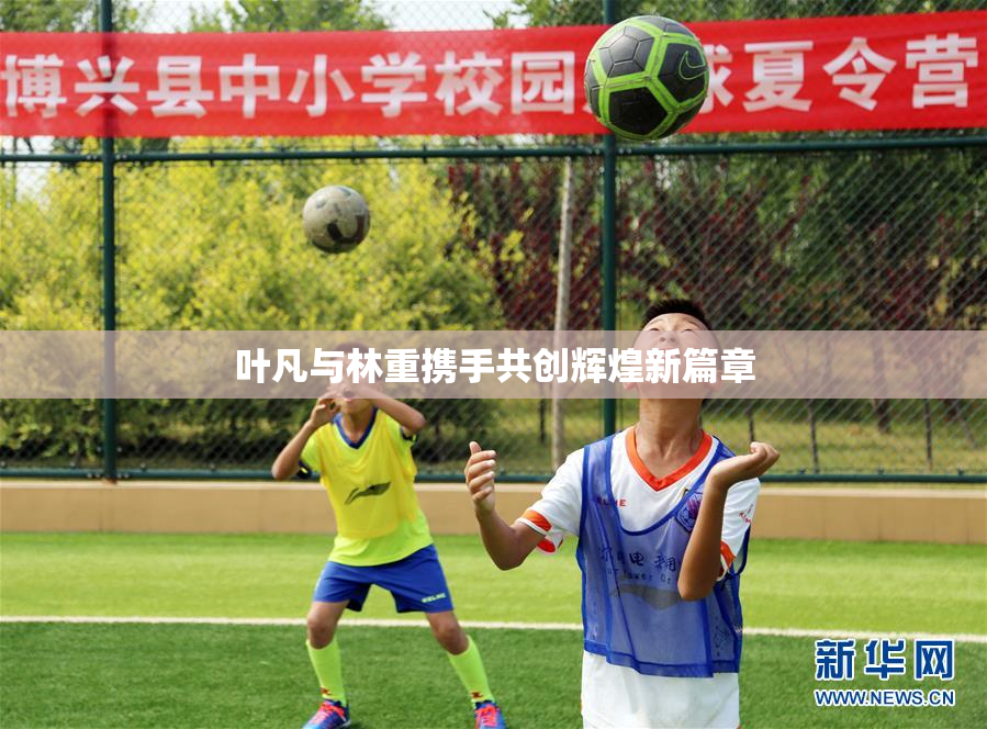 叶凡与林重携手共创辉煌新篇章