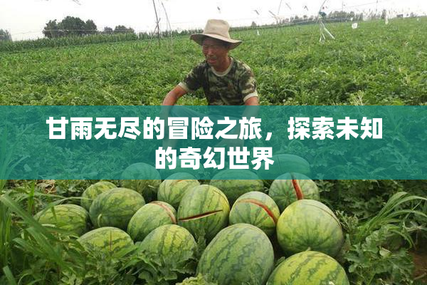 甘雨无尽的冒险之旅，探索未知的奇幻世界