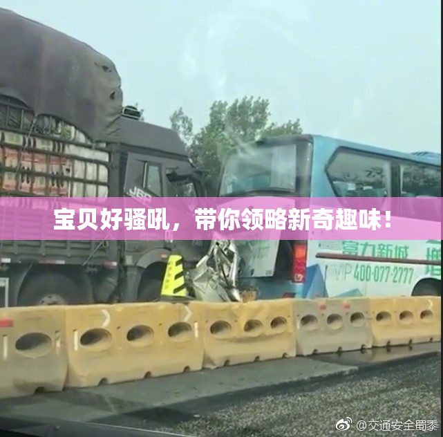 宝贝好骚吼，带你领略新奇趣味！