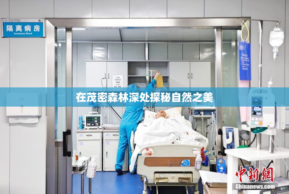 在茂密森林深处探秘自然之美