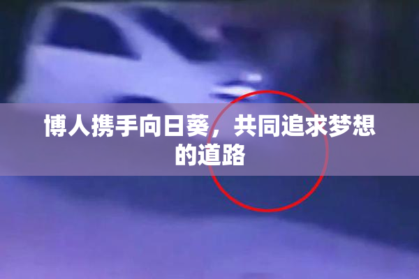 博人携手向日葵，共同追求梦想的道路