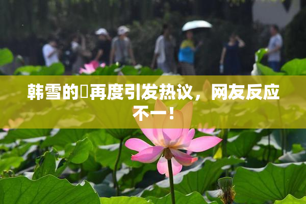 韩雪的婬再度引发热议，网友反应不一！