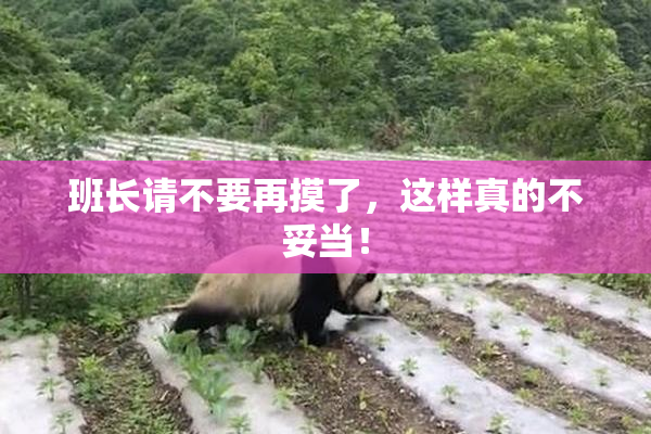班长请不要再摸了，这样真的不妥当！
