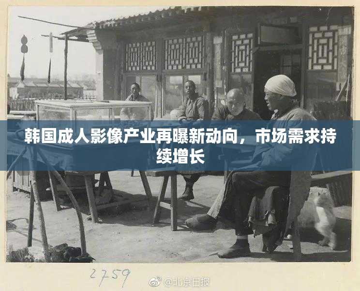 韩国成人影像产业再曝新动向，市场需求持续增长