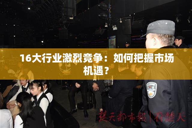 16大行业激烈竞争：如何把握市场机遇？