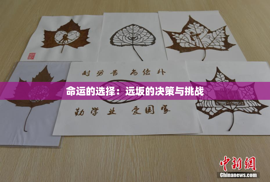 命运的选择：远坂的决策与挑战