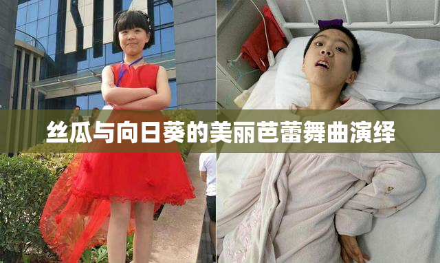 丝瓜与向日葵的美丽芭蕾舞曲演绎