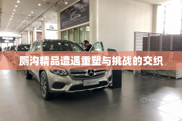 厕沟精品遭遇重塑与挑战的交织