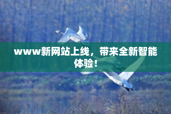 www新网站上线，带来全新智能体验！