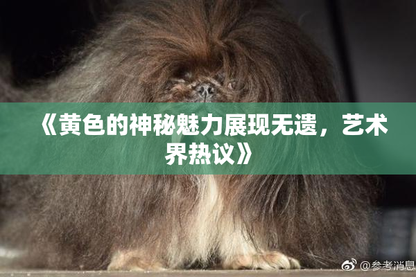 《黄色的神秘魅力展现无遗，艺术界热议》