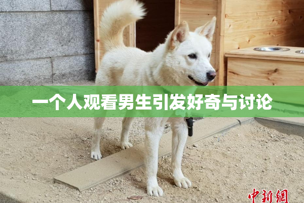 一个人观看男生引发好奇与讨论