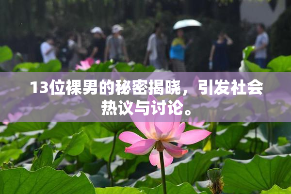 13位裸男的秘密揭晓，引发社会热议与讨论。