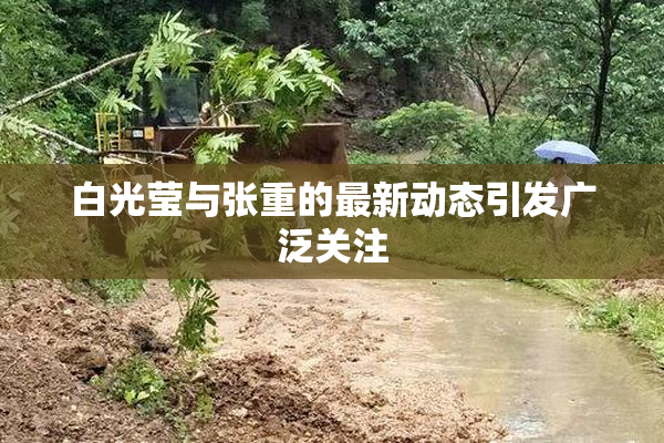 白光莹与张重的最新动态引发广泛关注