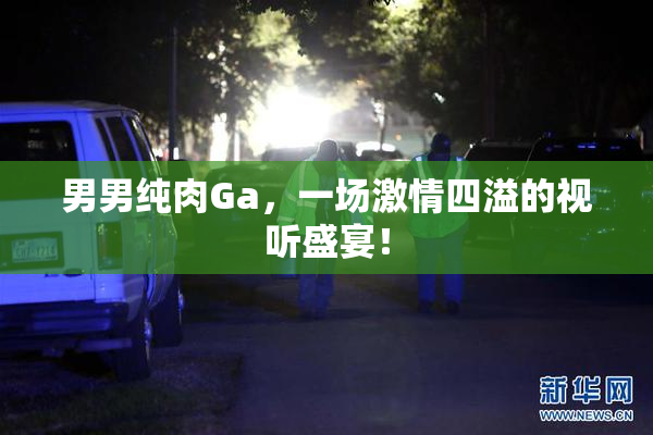 男男纯肉Ga，一场激情四溢的视听盛宴！