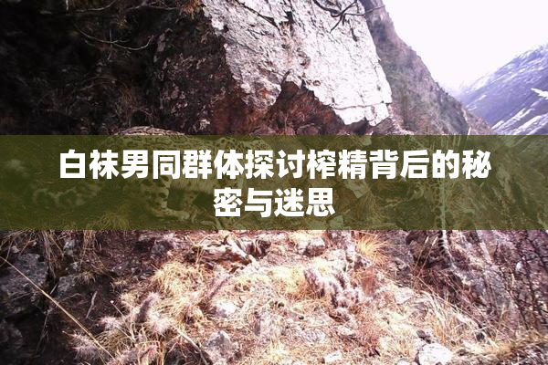 白袜男同群体探讨榨精背后的秘密与迷思