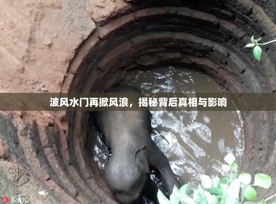 波风水门再掀风浪，揭秘背后真相与影响