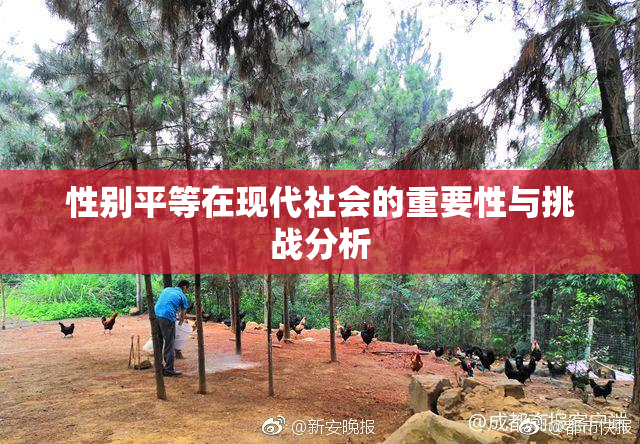 性别平等在现代社会的重要性与挑战分析